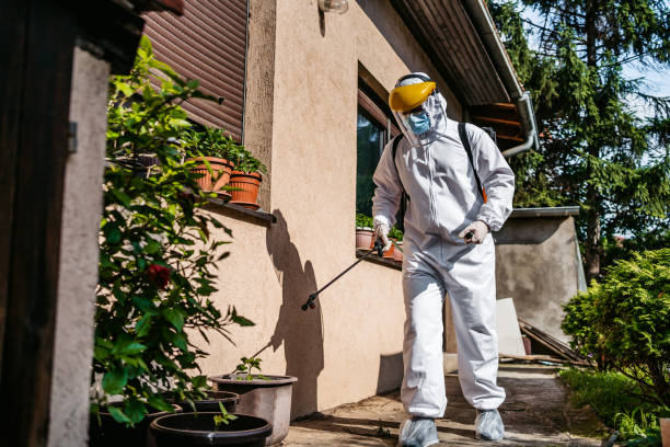 Best Local Pest Control Services  in Grovetown, GA
