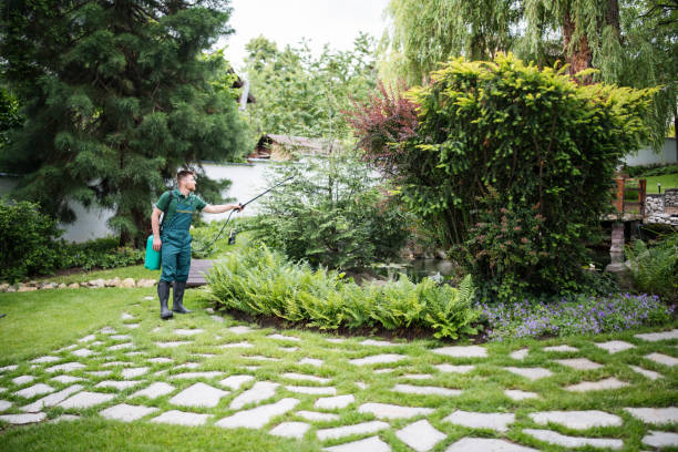 Best Wasp Removal Services  in Grovetown, GA