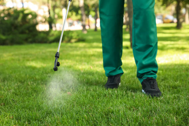 Best Termite Control Services  in Grovetown, GA