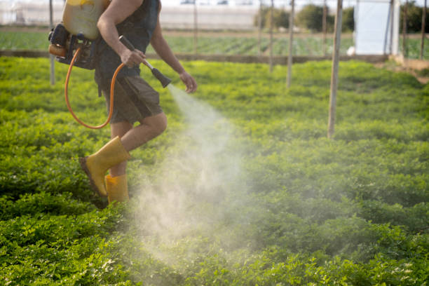 Best Ant Control Services  in Grovetown, GA