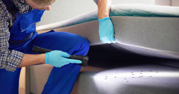Best Wasp Removal Services  in Grovetown, GA