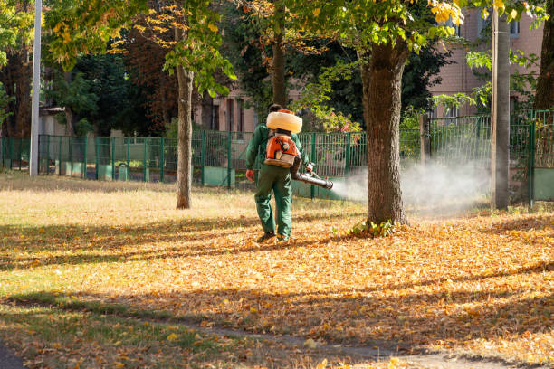 Best Exterminator Services  in Grovetown, GA