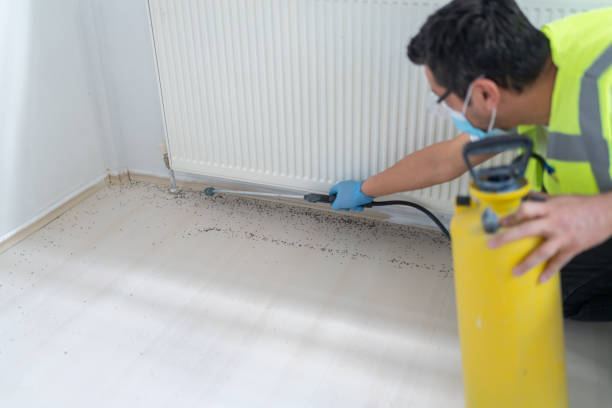 Best Mosquito Control Services  in Grovetown, GA