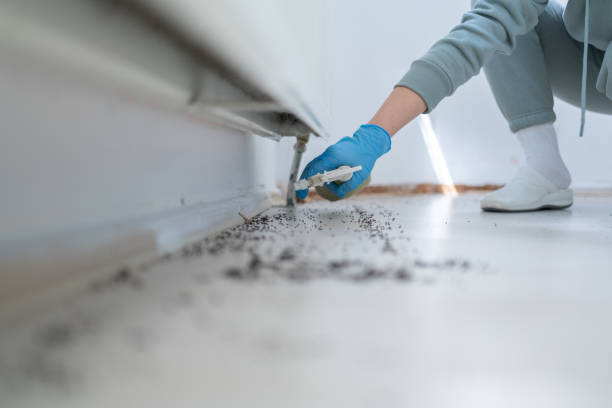 Best Termite Control Services  in Grovetown, GA